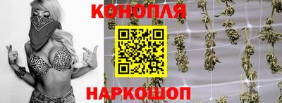 СК Сланцы