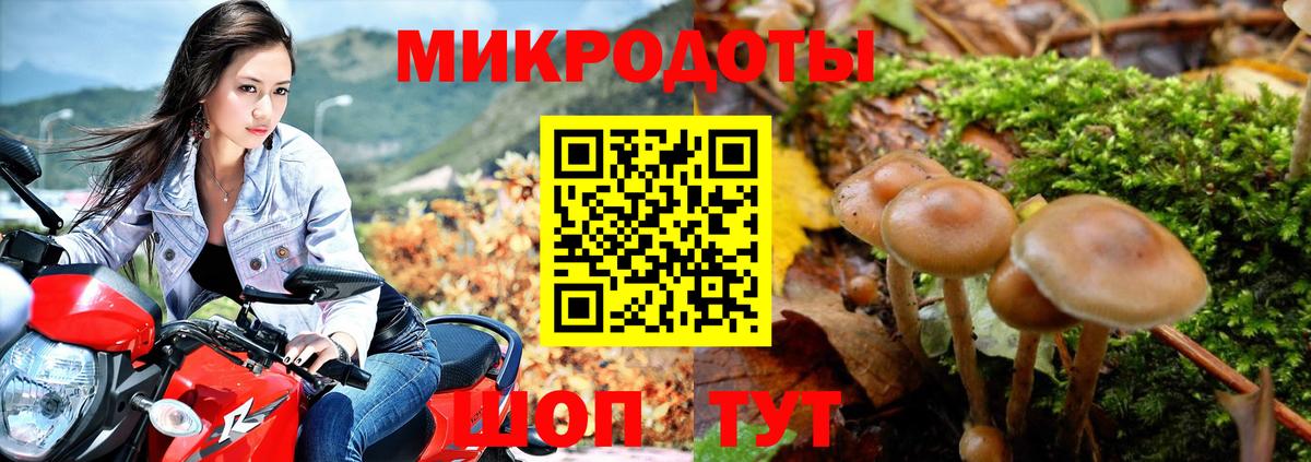 Галлюциногенные грибы Psilocybine cubensis Асбест